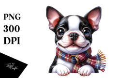 Cute Boston Terrier Dog with Big Eyes, PNG Product Image 1