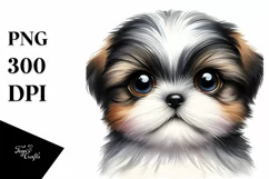 Shih Tzu with Big Eyes | Summer Clipart Product Image 1
