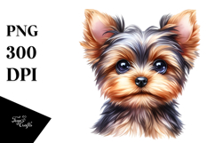 Cute Yorkshire Terrier Product Image 1