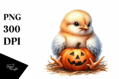 Cute Baby Chicken with Pumpkin PNG Product Image 1