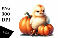 Baby Chicken with Halloween Pumpkin, PNG Product Image 3