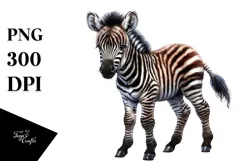Baby Zebra, PNG Product Image 1