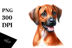 Sublimation|Clipart Product Image 1