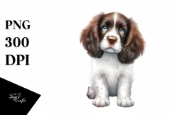 a Cute Sitting English Springer Spaniel with Christmass Product Image 1