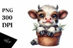 Smiling Baby Highland Cow in Pot | Clipart Product Image 3
