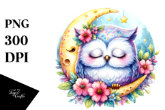 Cute Owl Sleeping on the Moon Product Image 1