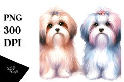 Cute Pastel Havanese | Sublimation | Clipart Product Image 1