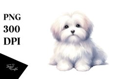 Cute Pastel Havanese | Sublimation | Clipart Product Image 3