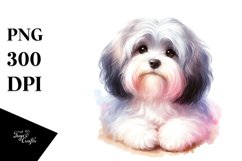 Cute Pastel Havanese | Sublimation | Clipart Product Image 1