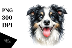 Cute Border Collie with Big Eyes PNG Product Image 1