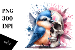 Cute Birds with Splashes, Transparent PNG Product Image 1