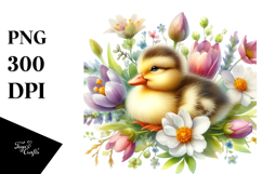 Sublimation|Clipart Product Image 1