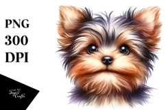 Baby Yorkshire Terrier with Big Eyes PNG Product Image 1