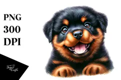 Baby Rottweiler with Big Eyes PNG Product Image 1