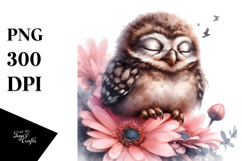 Digital Watercolor Cute Baby Owl PNG Product Image 1