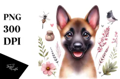 Watercolor Cute Malinois with Big Eyes, PNG Product Image 1