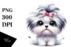 Cute Maltese with Big Eyes PNG Product Image 1