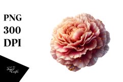 Glossy Carnation Golden Insertions Clipart Product Image 1