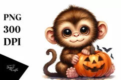 Cute Baby Monkey with Pumpkin PNG Product Image 1