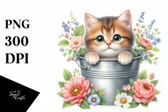 Cute Baby Cat with Big Eyes PNG Product Image 3