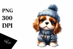 Baby Cavalier King Charles Spaniel, Winter PNG Product Image 3