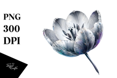 Tulip Material Image, PNG Product Image 1