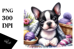 Watercolor Baby Boston Terrier, Cute PNG Product Image 1
