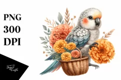 Detailed Boho Baby Parrot with Marigold Bouquet Product Image 3
