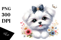 Watercolor Baby Maltese with Big Eyes, PNG Product Image 1