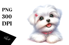 Watercolor Baby Maltese with Big Eyes, PNG Product Image 1