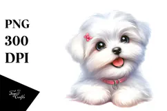 Cute Baby Maltese with Big Eyes PNG Product Image 1