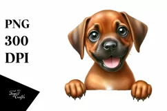 Baby Rhodesian Ridgeback Watercolor Cute Clipart Product Image 1