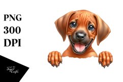 Funny Smiling Baby Rhodesian Ridgeback Watercolor Clipart Product Image 1