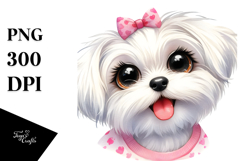 Cute Maltese with Big Eyes PNG Product Image 1