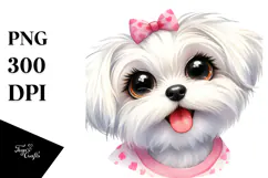 Cute Maltese with Big Eyes PNG Product Image 1
