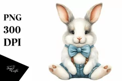 Funny Cute Baby Bunny in Front of Barn Product Image 1