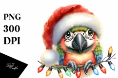 Cute Baby Macaw with Santa Hat, Transparent PNG Product Image 1