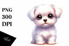 Baby Maltese Big Eyes Human Like | Clipart Product Image 1