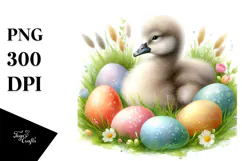 Baby Swan in Grass, PNG Product Image 1