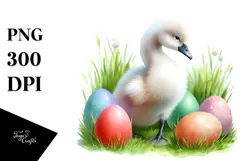 Baby Swan in Grass, PNG Product Image 1