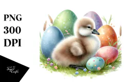 Baby Swan in Grass, PNG Product Image 1