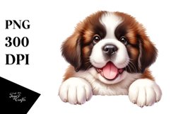Funny Smiling Baby Saint Bernard Watercolor Clipart Product Image 3