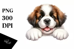 Funny Smiling Baby Saint Bernard Watercolor Clipart Product Image 3