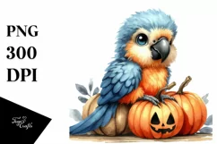 Cute Macaw with Pumpkin, Transparent PNG Product Image 3
