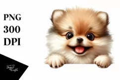 Colorful Funny Watercolor Pomeranian Sublimation Clipart Product Image 3
