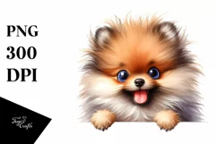 Colorful Funny Watercolor Pomeranian Sublimation Clipart Product Image 3