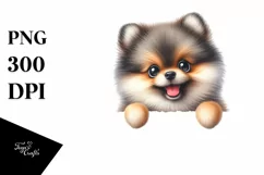 Colorful Funny Watercolor Pomeranian Sublimation Clipart Product Image 1