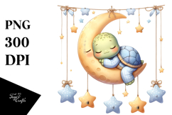 Cute Baby Turtle Dressed for Summer Product Image 1
