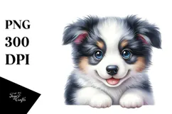 Happy Baby Border Collie PNG Product Image 1