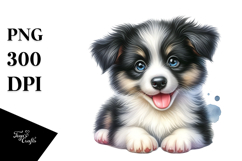 Happy Baby Border Collie, Transparent PNG Product Image 1